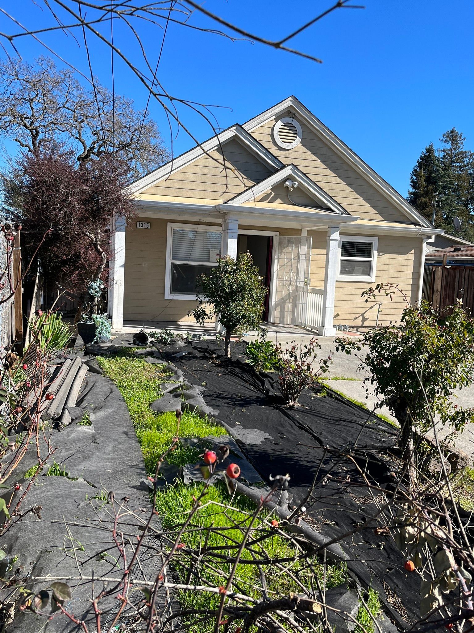 Small beige house with a front garden, black mulch, and a clear blue sky
