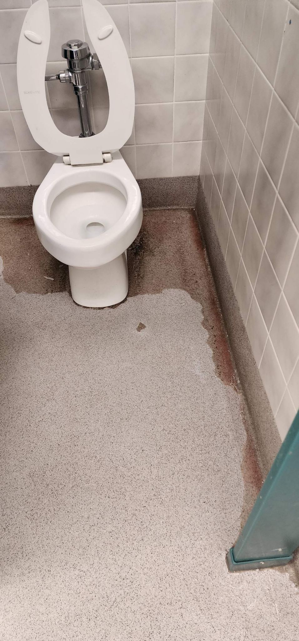 Small restroom with a white toilet, speckled floor, tiled walls, and a glass shower door.