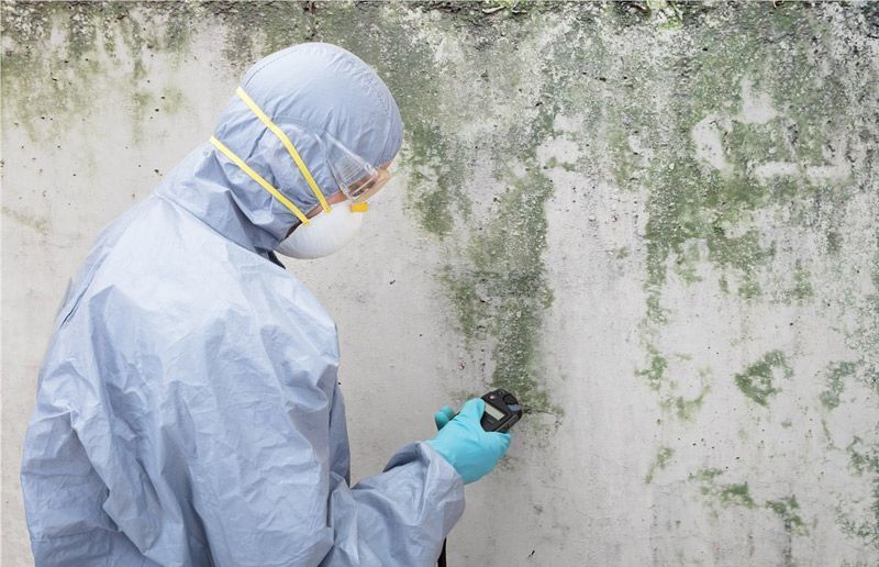 Person in protective suit inspecting a moldy wall with a spray bottle
