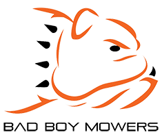 Bad Boy