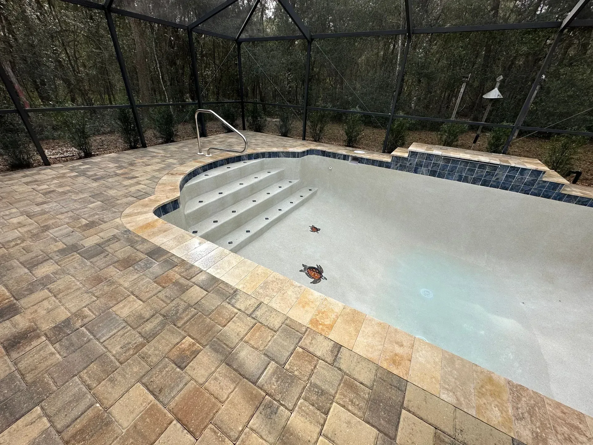 Pool with steps and stone deck, enclosed by a screen, surrounded by greenery.