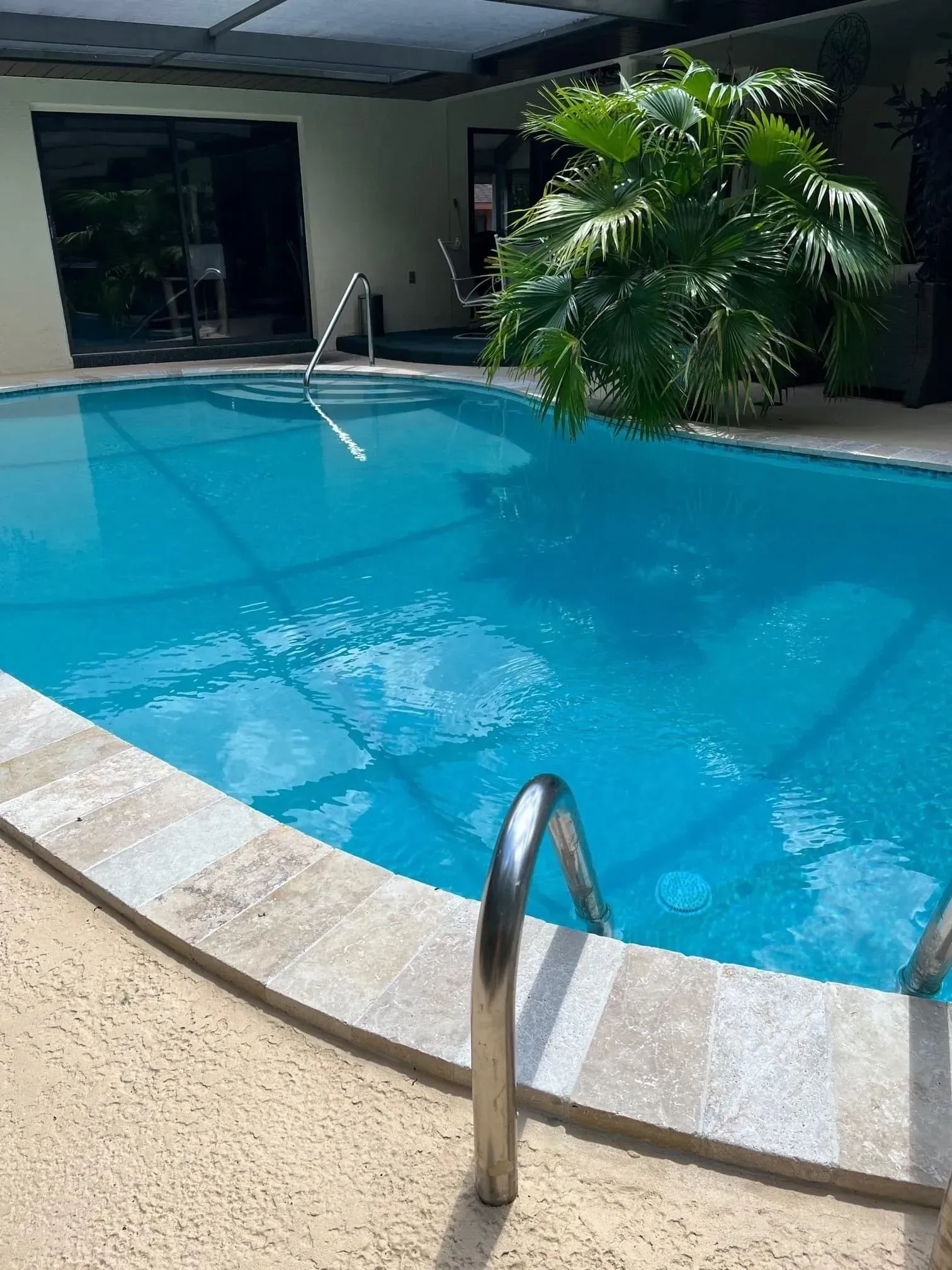 A blue swimming pool with a stainless steel ladder and lush green plants.