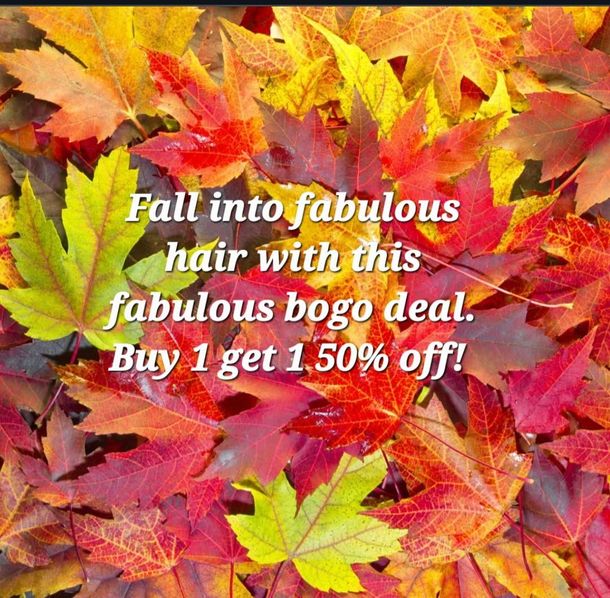 My Hair Salon Fall Promo
