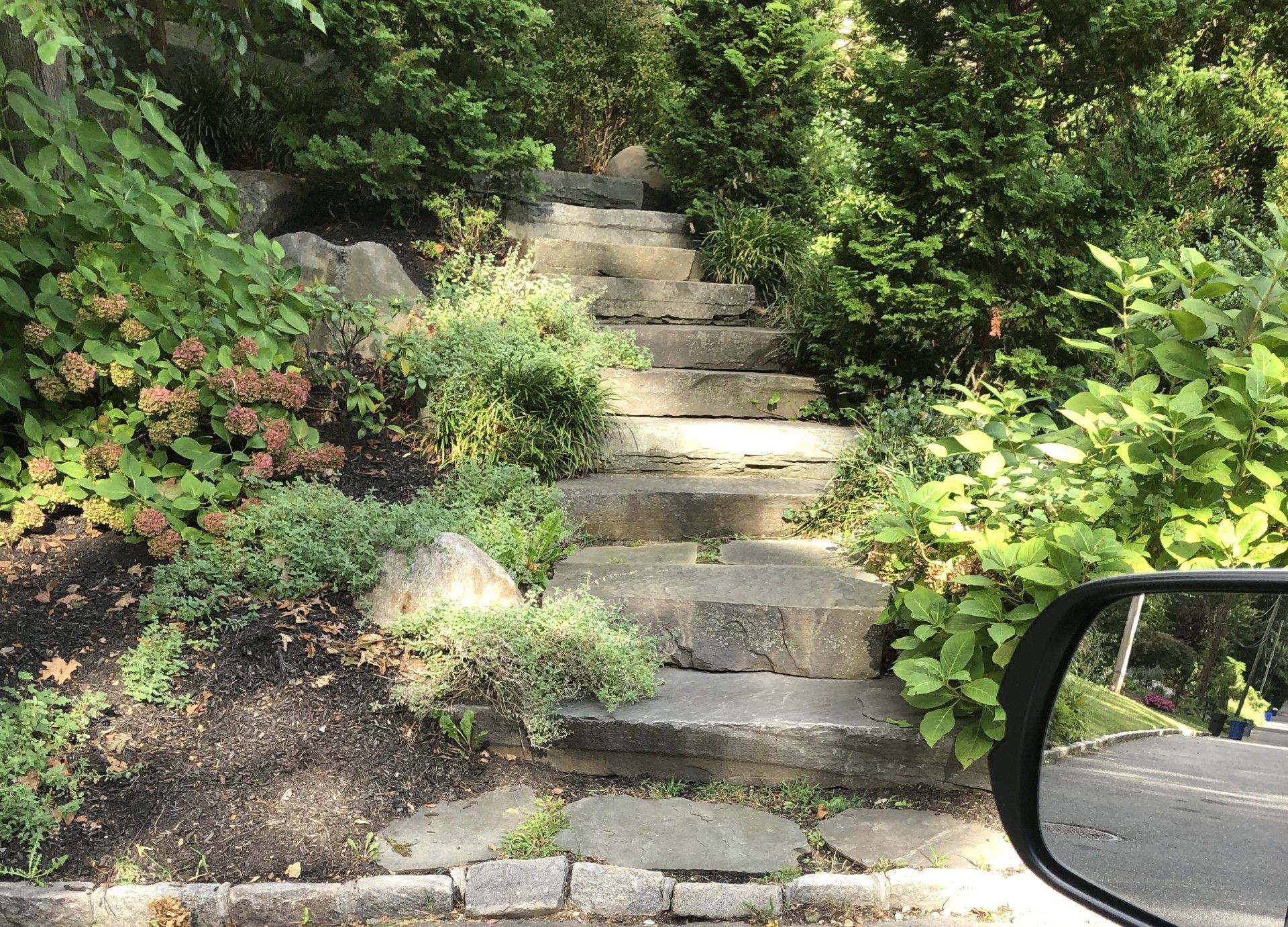 A rear view mirror shows a set of stairs surrounded by trees