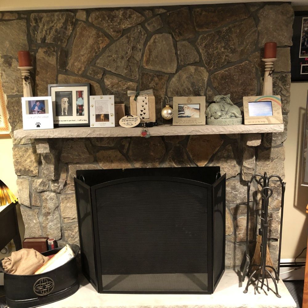 A fireplace with a screen and pictures on the mantle