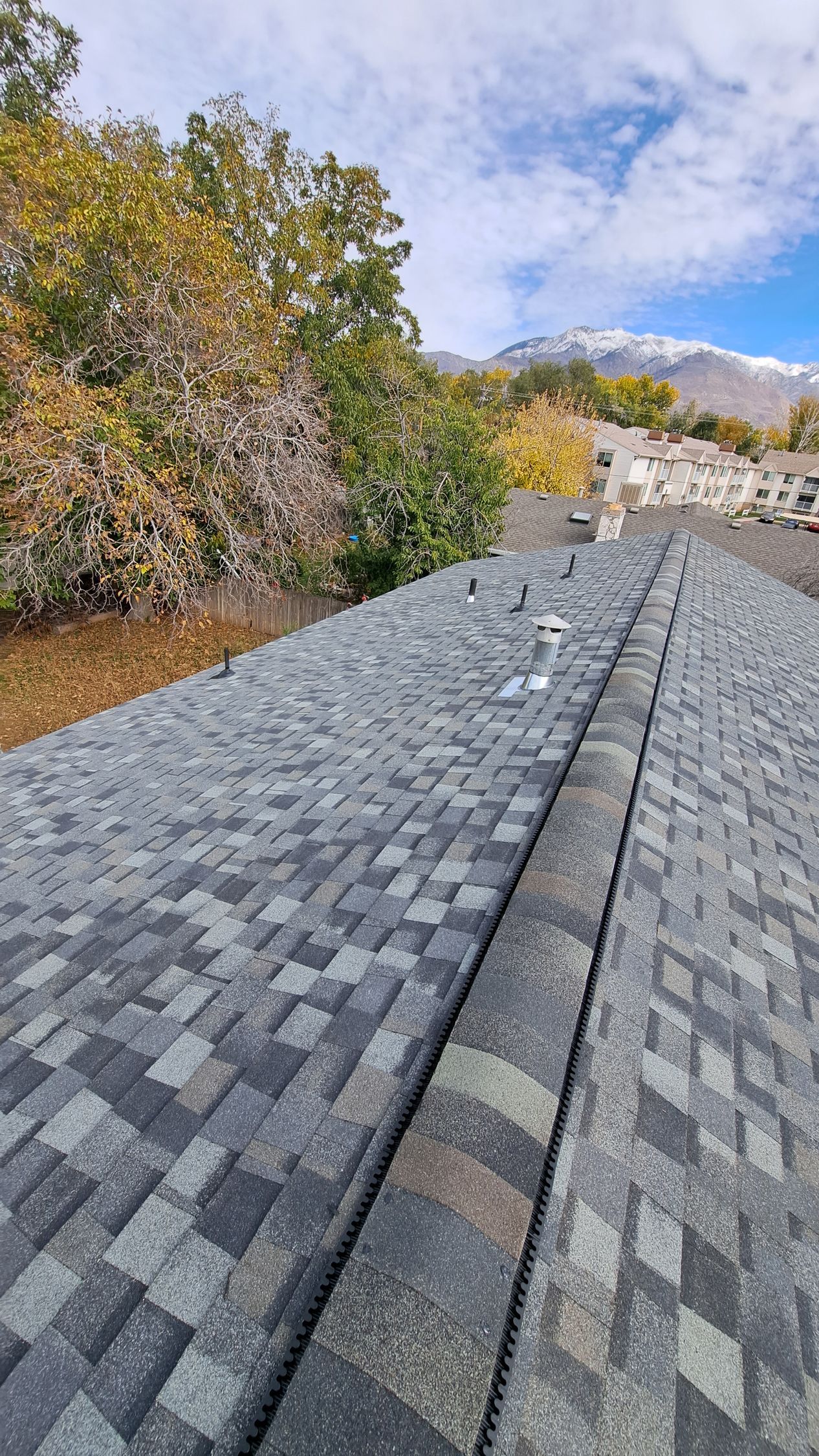 A view looking down the ridge of a dark shingled roof toward autumn trees and a snow-capped mountain in the distance.