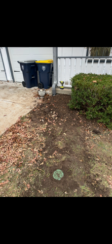 Two trash bins next to a house with a bush and a circular drain in the yard.