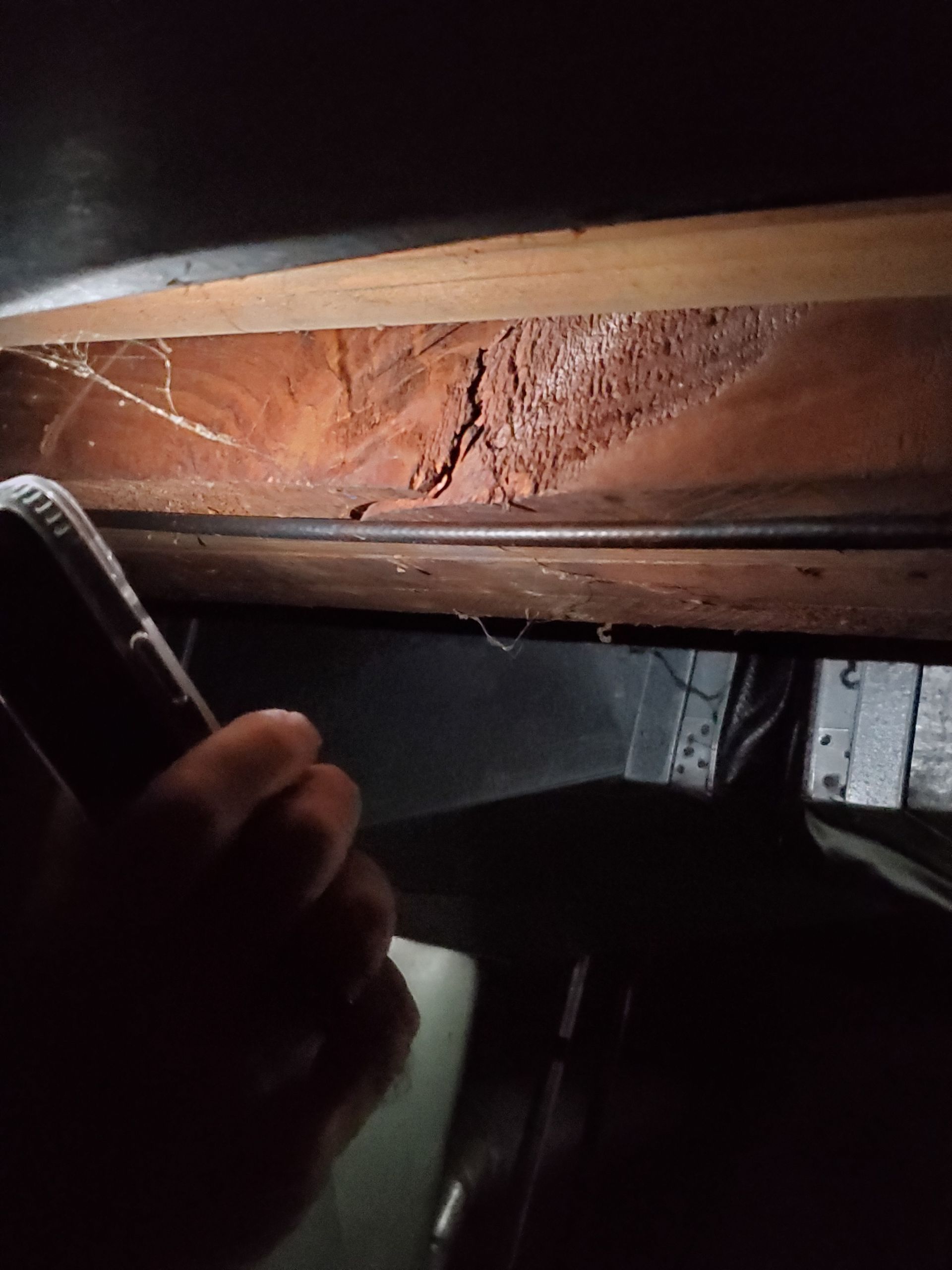 A person holds a flashlight towards reddish, deteriorated wood. In a dark enclosed space.
