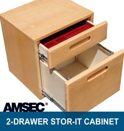 AMSEC 2 drawer store-it cabinet