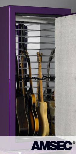 AMSEC guitar safe
