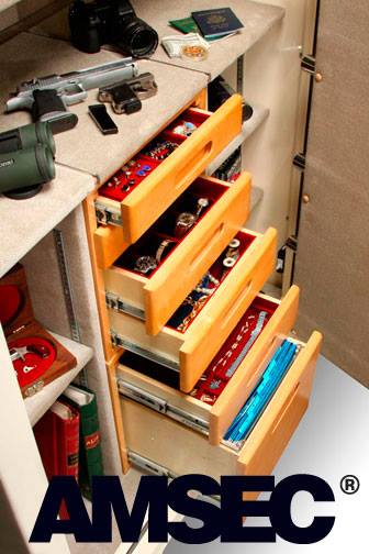AMSEC store-it cabinet