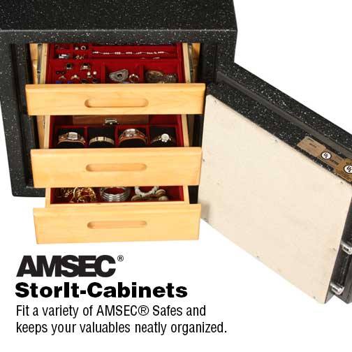 AMSEC StoreIt-Cabinet