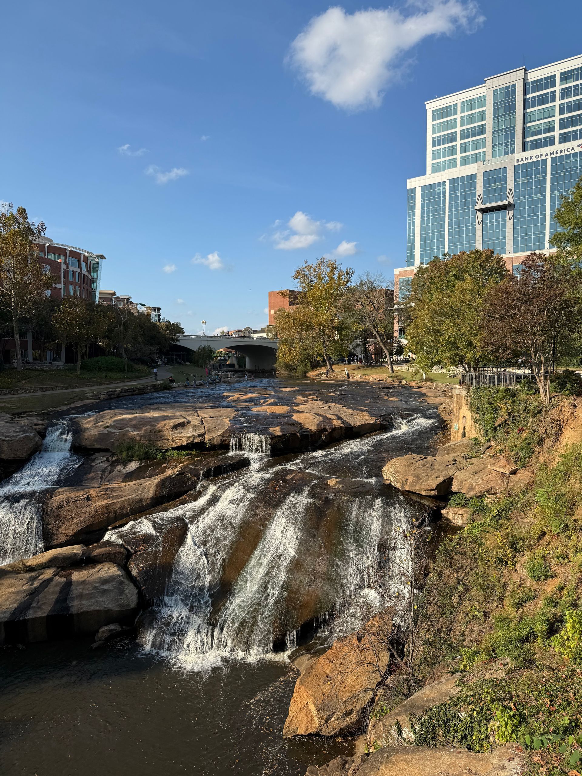 A picture of the reedy falls in Greenville SC 