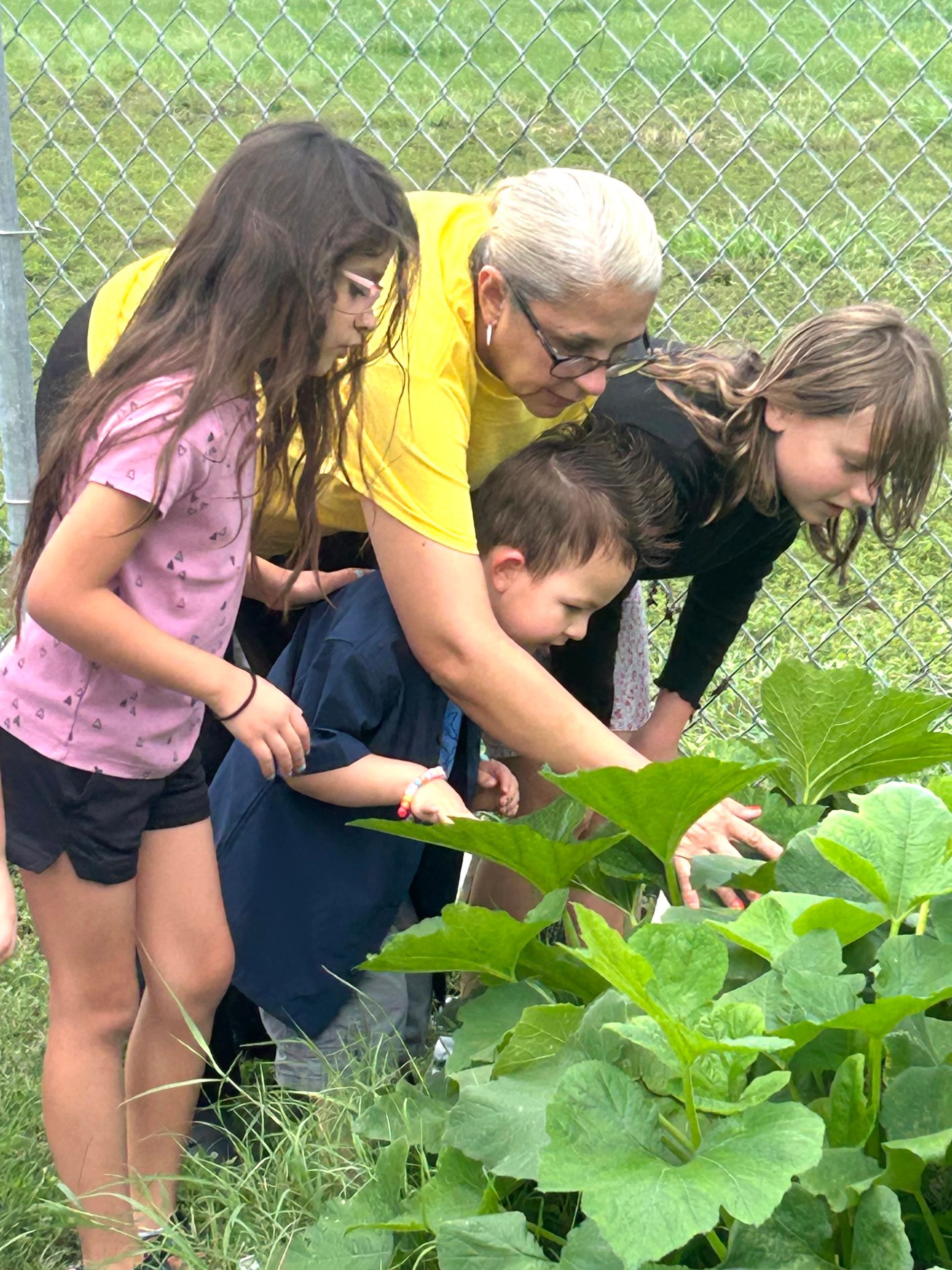 The children are gardening at Little Treehouse Early Learning Center #6. Yellow Squash, Watermelon, Beans and more!