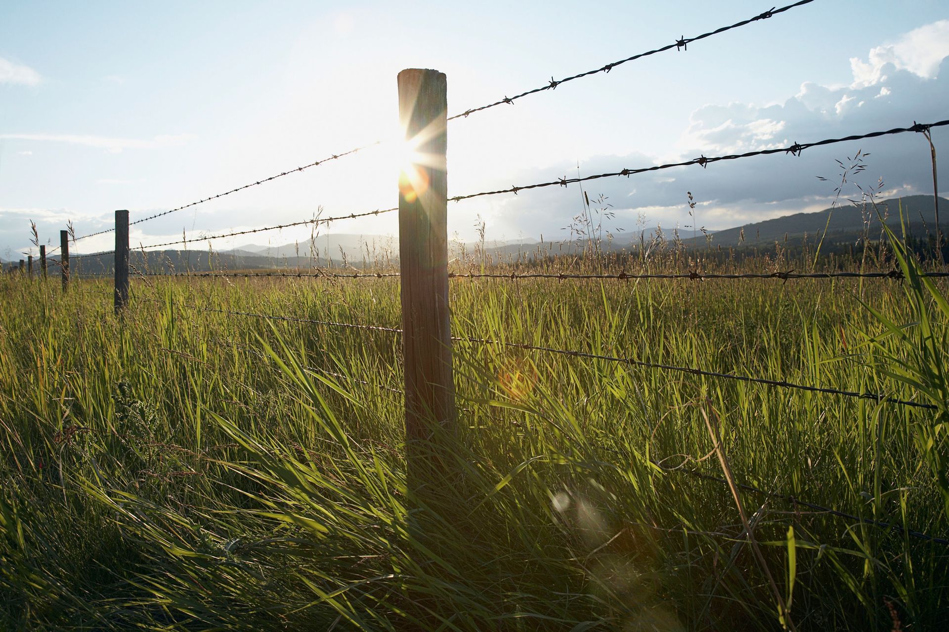 Sunlit fence posts and barbed wire across a grassy field at sunrise