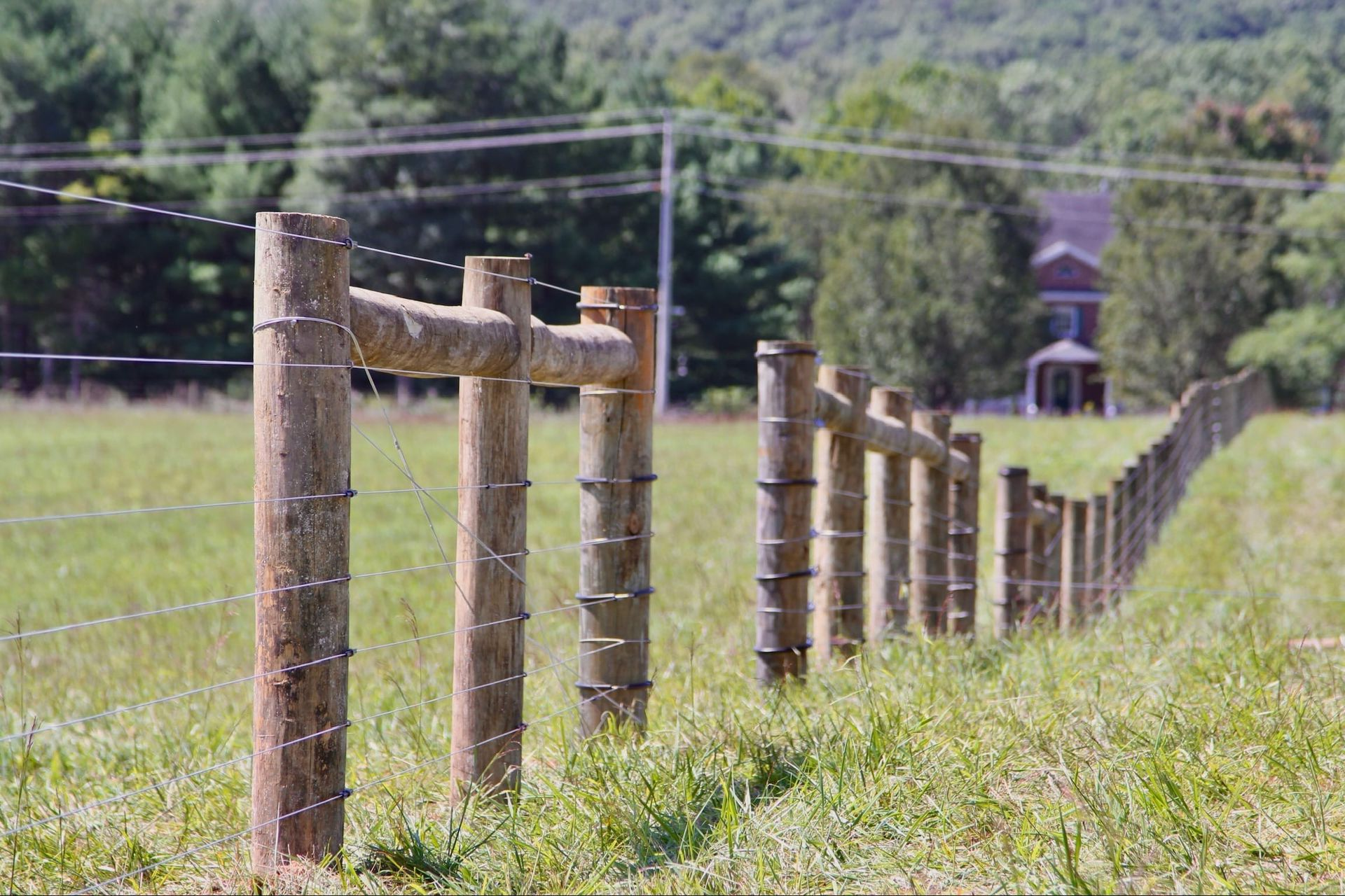 Wooden fence posts lining a grassy field, with a blurred house and trees in the background.