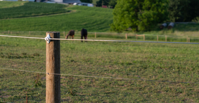 Wooden fence post in grassy field with two black horses in the distance, rolling green hills behind