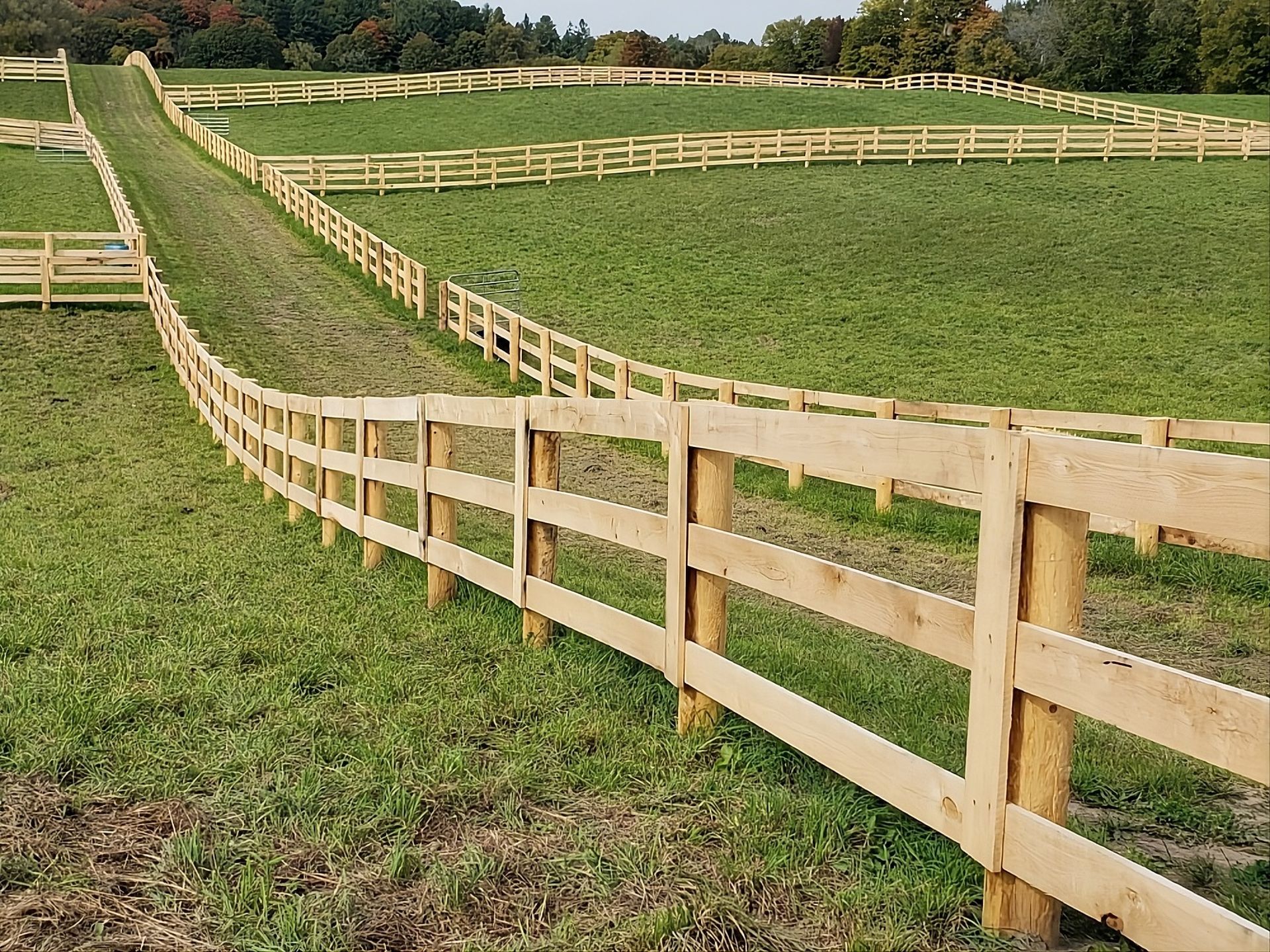 Winding wooden fence through a green pasture under a clear sky