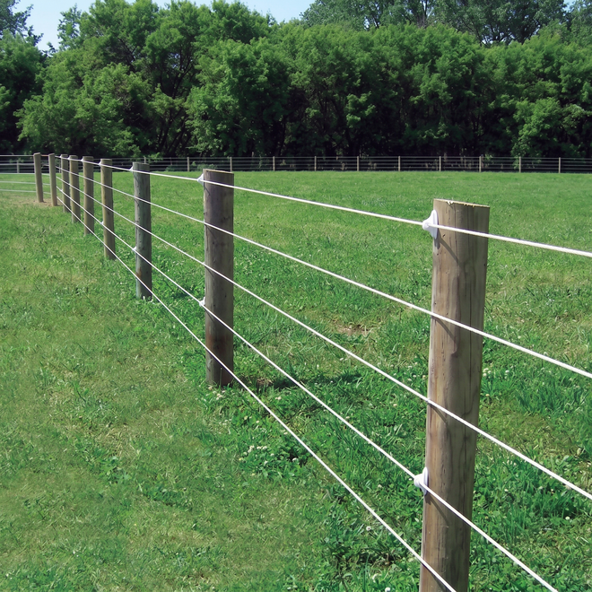 Wooden fence posts with white wires lining a grassy field under trees