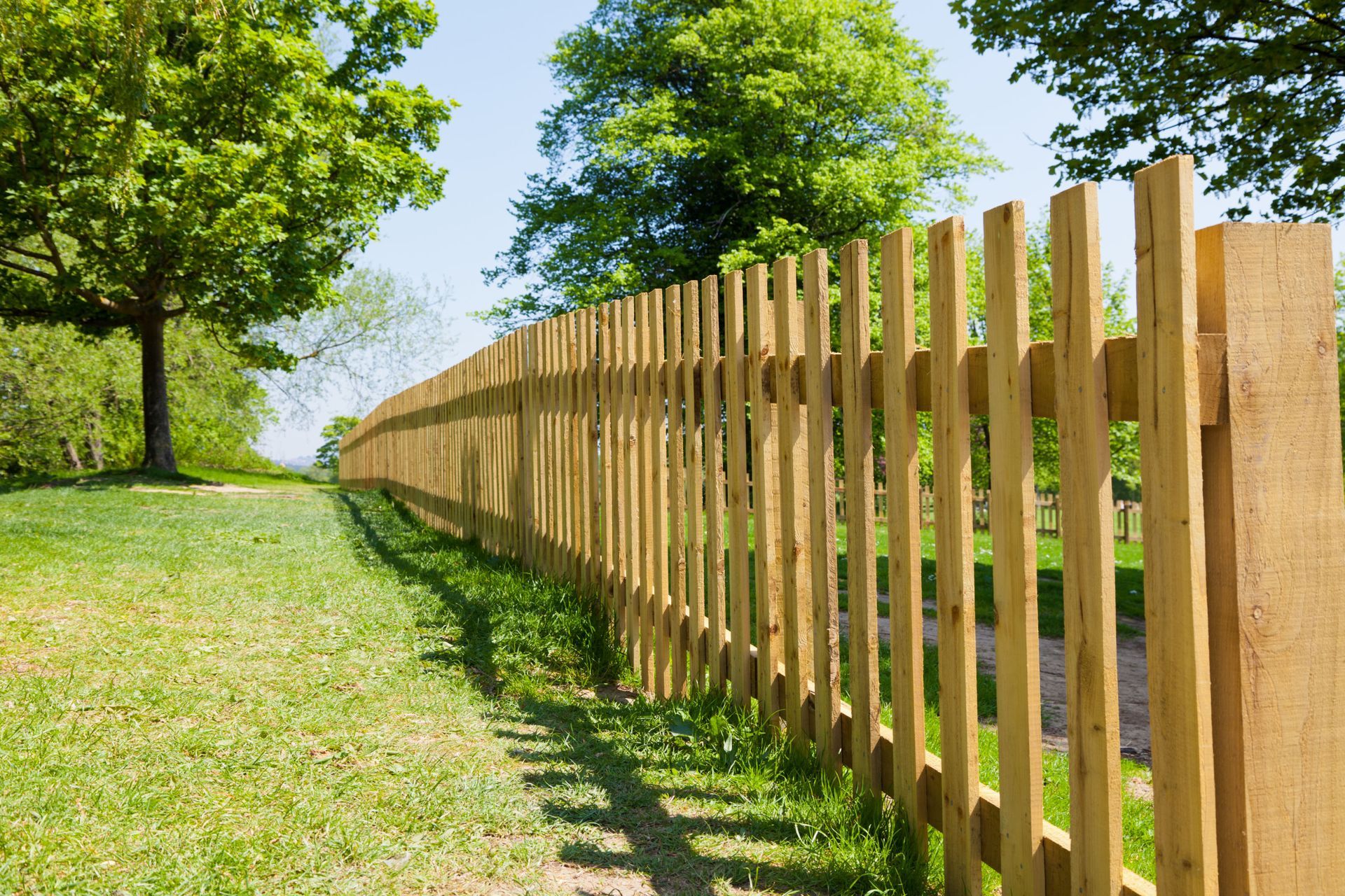 Wooden picket fence curving along a grassy path beside leafy green trees on a sunny day