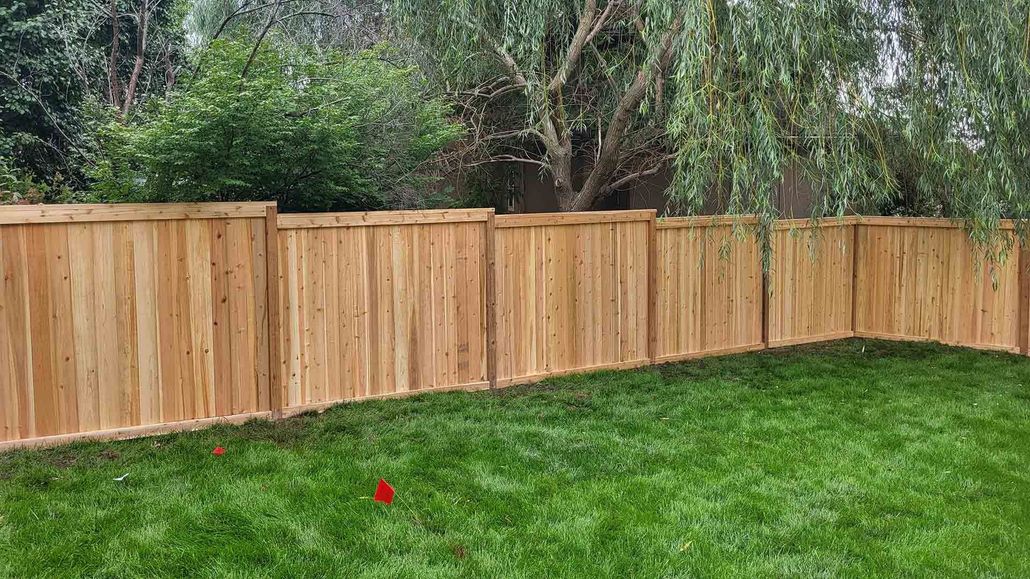Wooden privacy fence along a grassy backyard with trees in the background