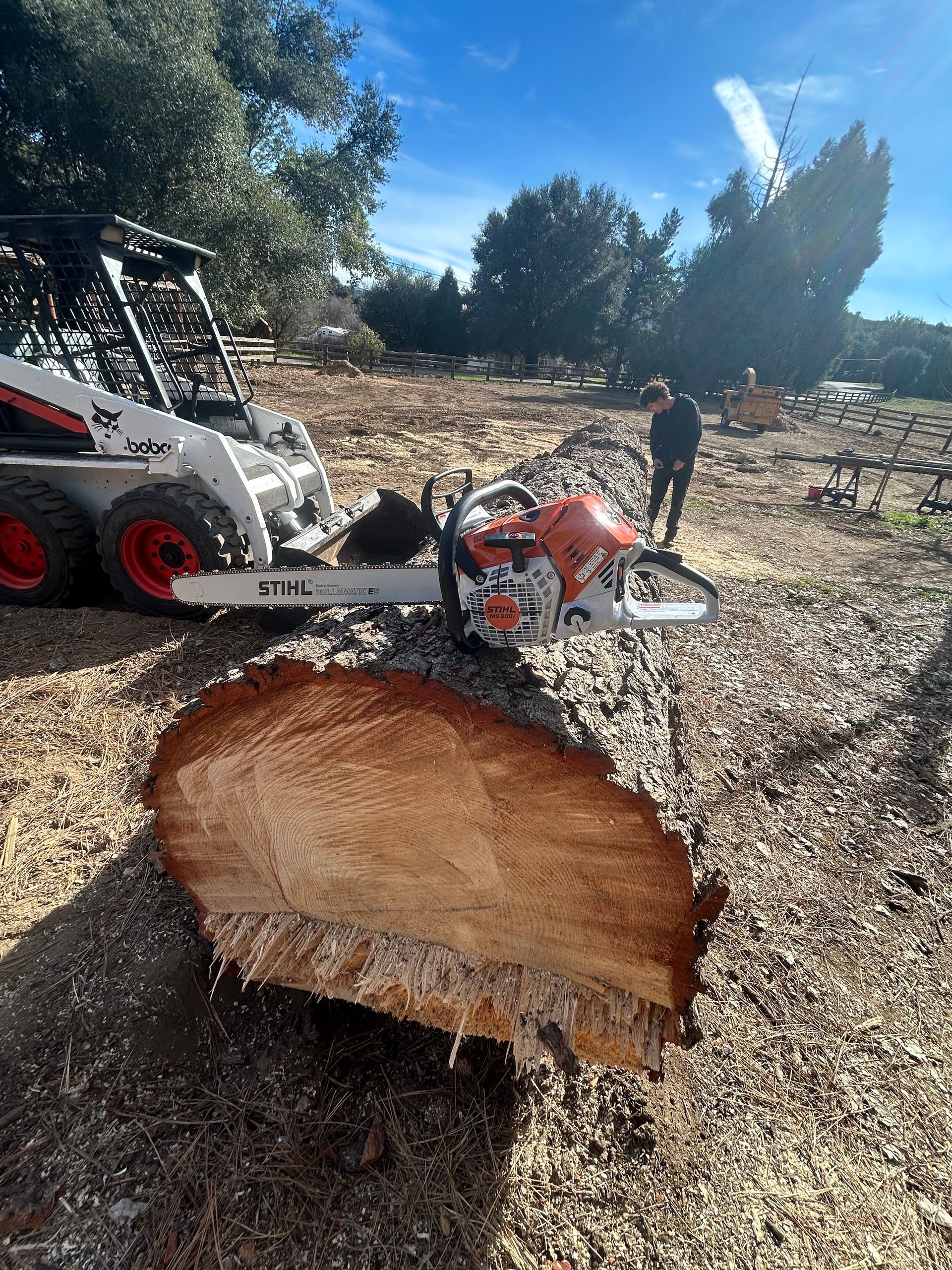 A man is cutting a tree stump with a chainsaw.