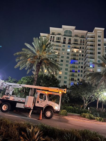 A white utility truck with a raised arm working on a palm tree next to a tall condo building at night.