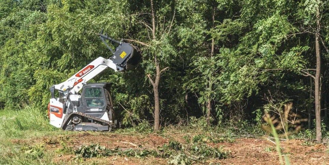 Small excavator clearing brush beside a forest edge