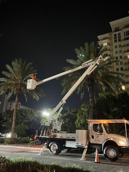 A bucket truck trimming palm trees at night. A worker in the bucket, lit by the truck's lights, in front of a building.
