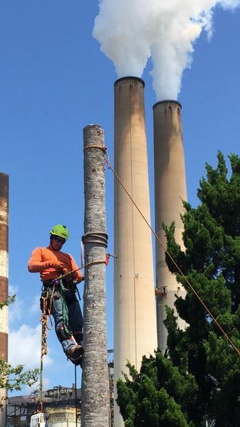 Worker on a pole, wearing safety gear, with smokestacks billowing smoke in the background. Bright blue sky.