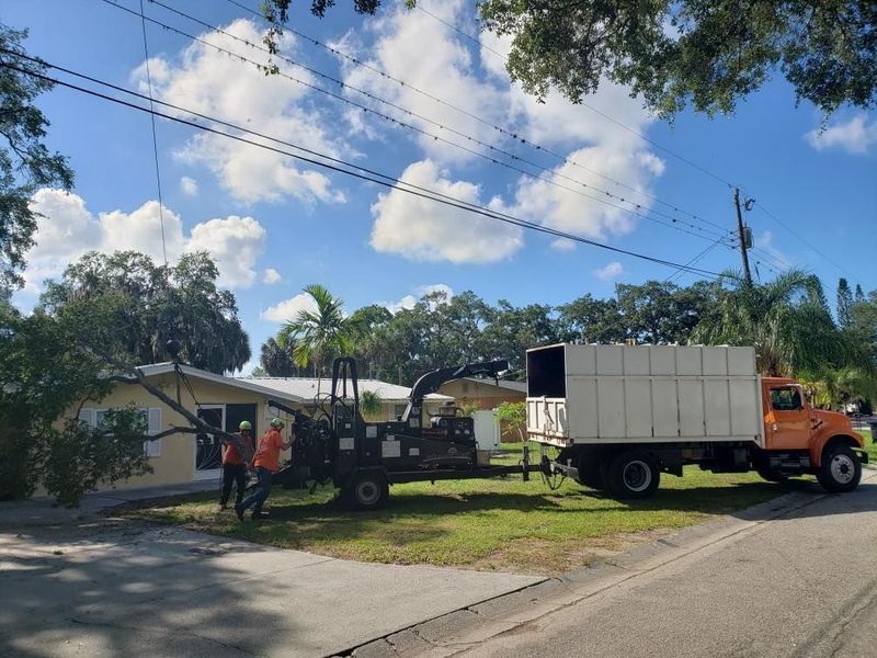 Tree trimming service working near a house. Men in vests use machinery, truck with a white container is present.