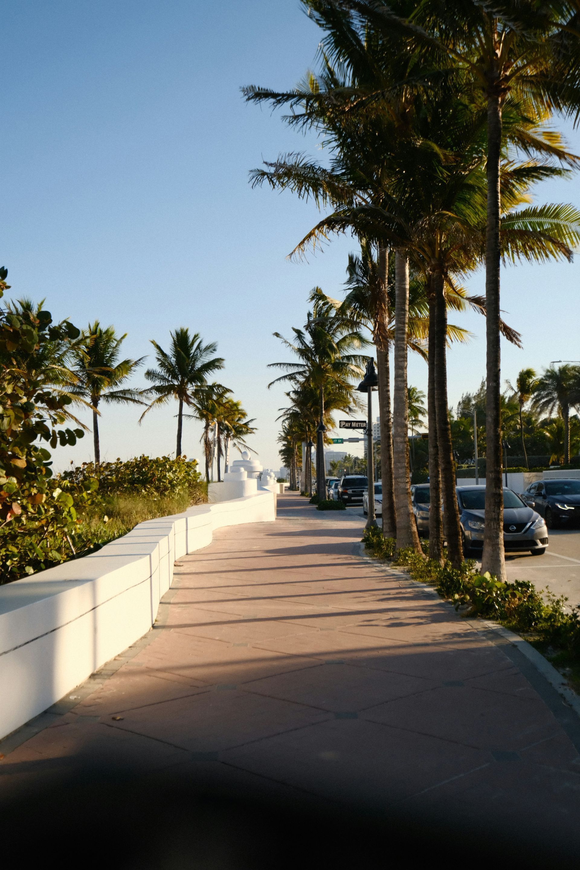 Palm tree-lined sidewalk along a low white wall, cars parked nearby. Blue sky.