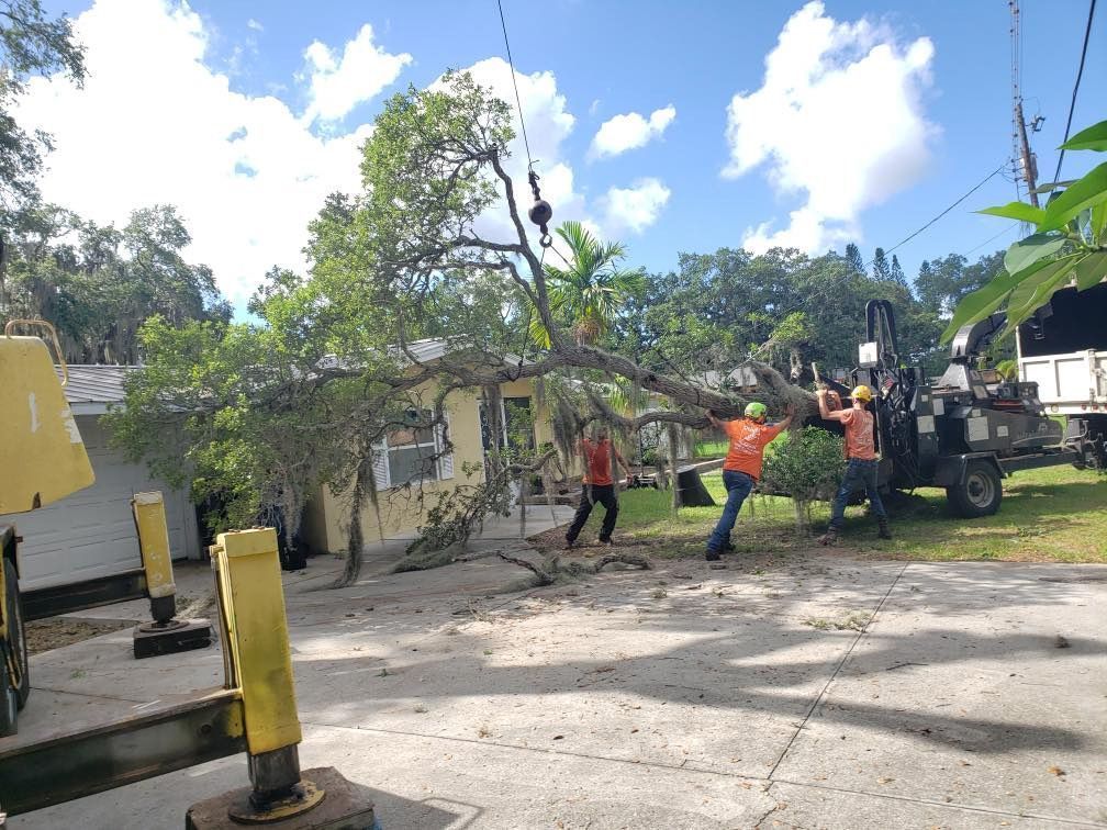 Tree removal in progress: workers in orange vests use machinery and ropes to lift a large tree branch near a building.