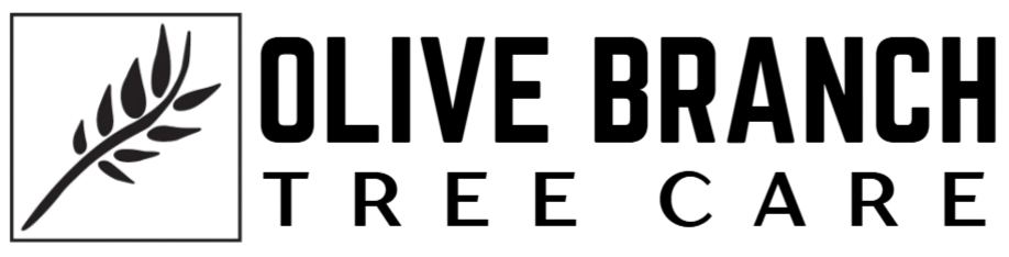 Olive Branch Tree Care