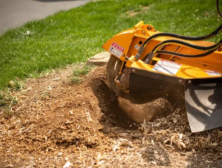 Yellow mower mulching a woodchip bed beside green grass in a yard