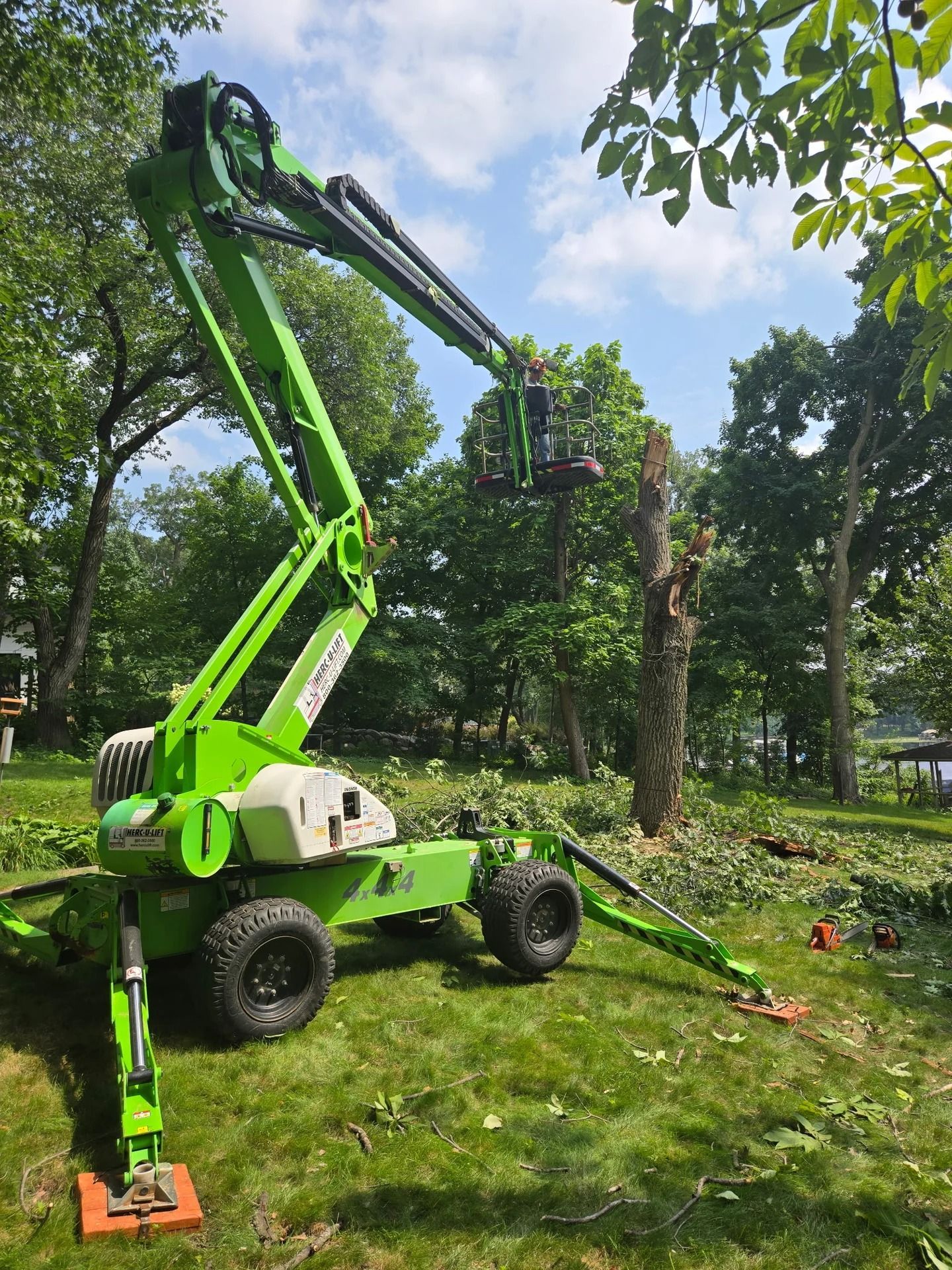 Green tree-trimming boom lift cutting branches in a leafy park