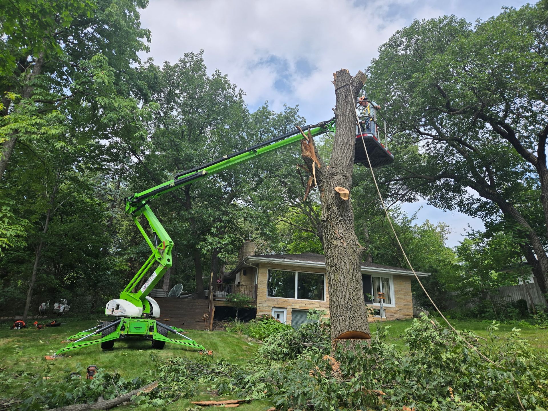 Bucket truck removing a tree beside a house in a leafy yard