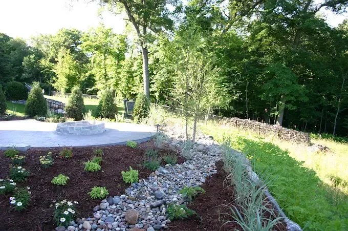 Landscaped garden bed with young plants, mulch, stones, and a sunlit paved path beside trees