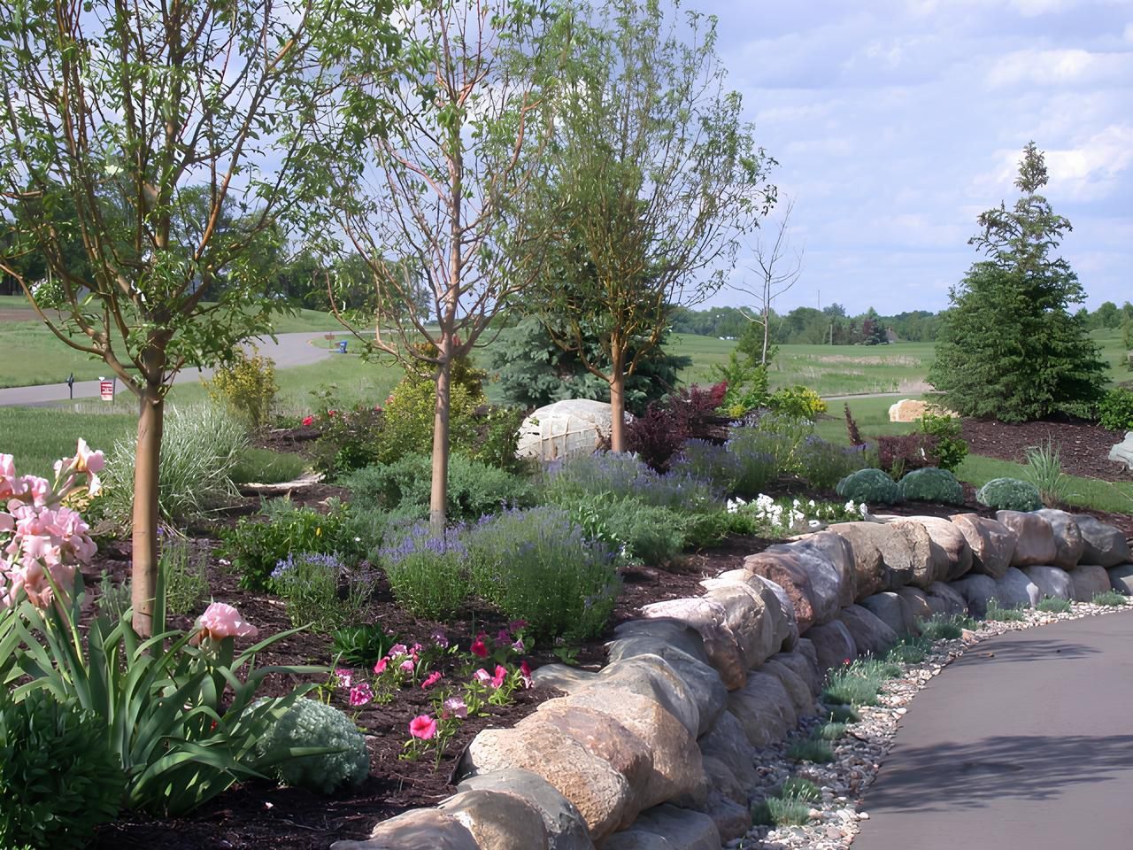 Landscaped garden with flowering shrubs, trees, and a curved stone border beside a road