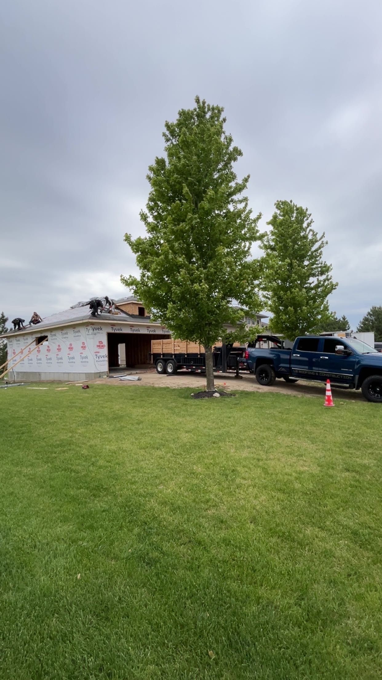 Tree in a grassy yard beside a house under construction, with a truck and orange cone nearby.