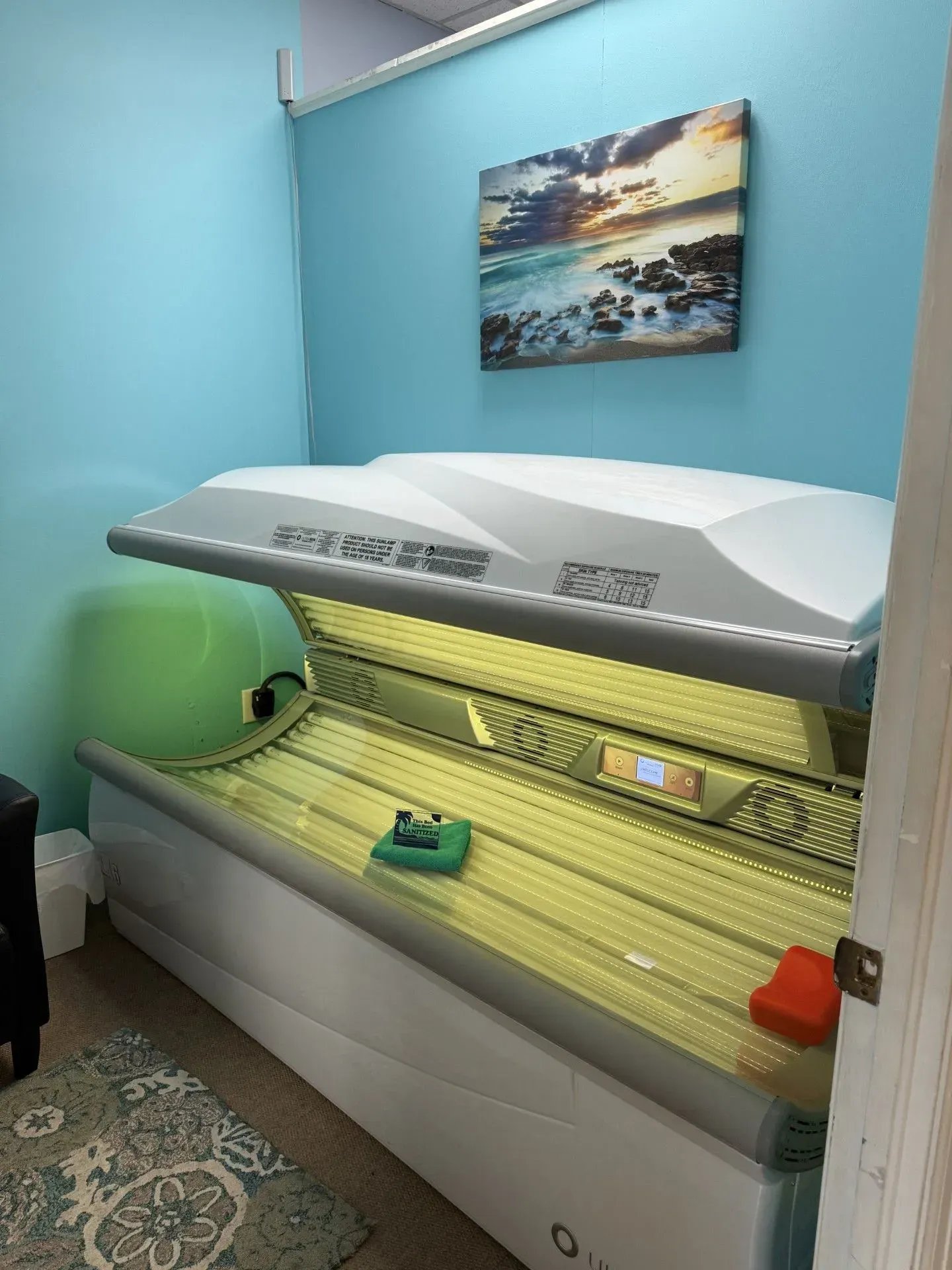 Tanning bed in a room with blue walls, rug, and a seascape painting.