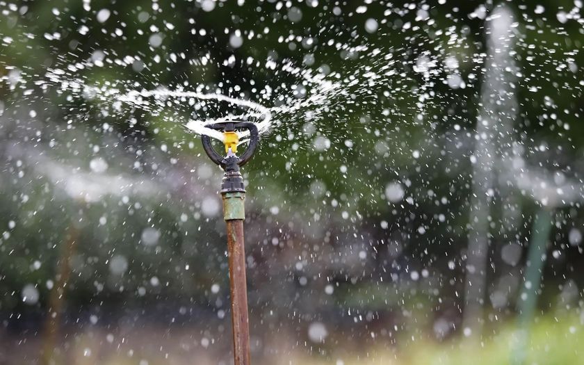 A close up of a sprinkler spraying water in a garden.