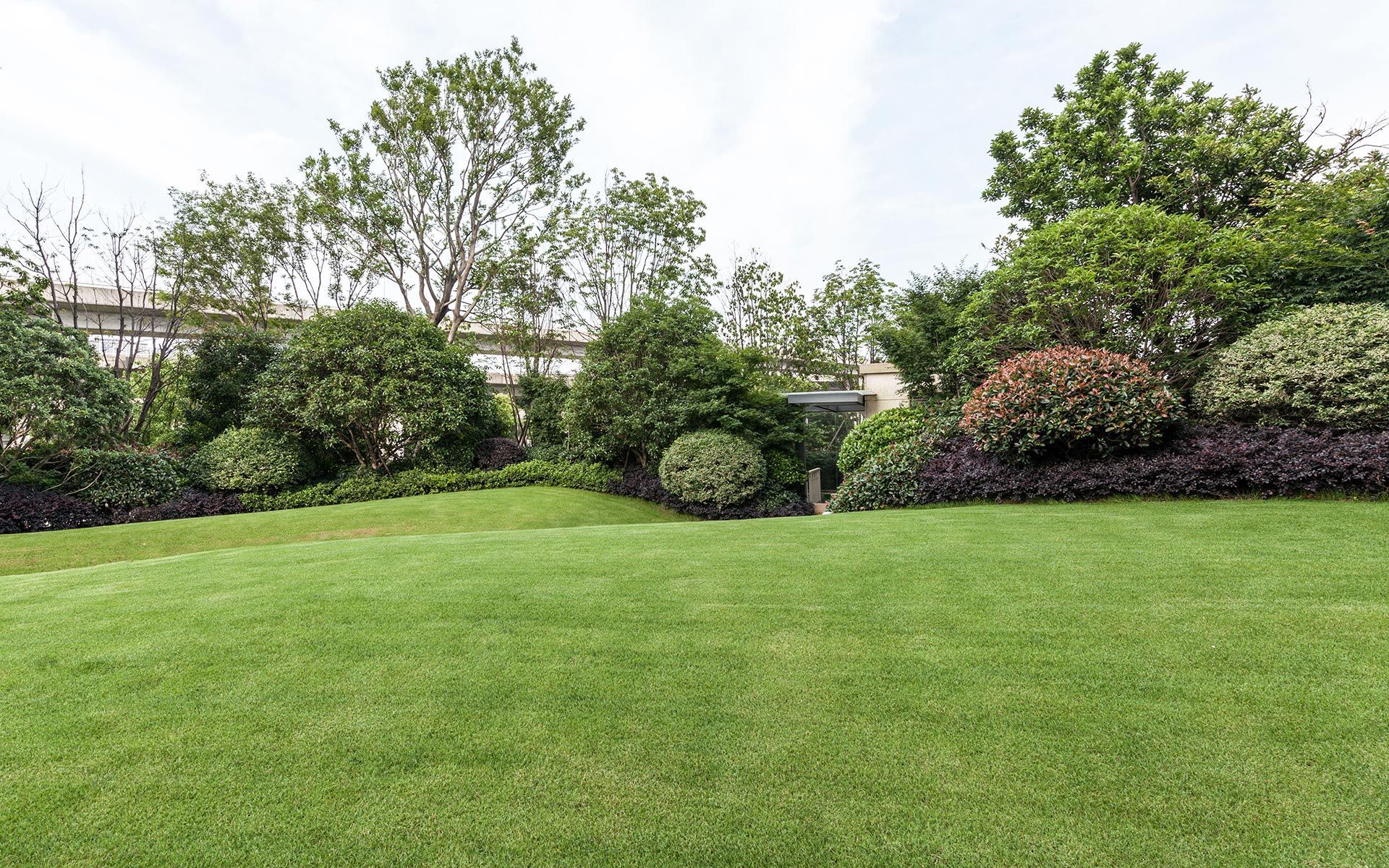 A large lawn with trees and bushes in the background.