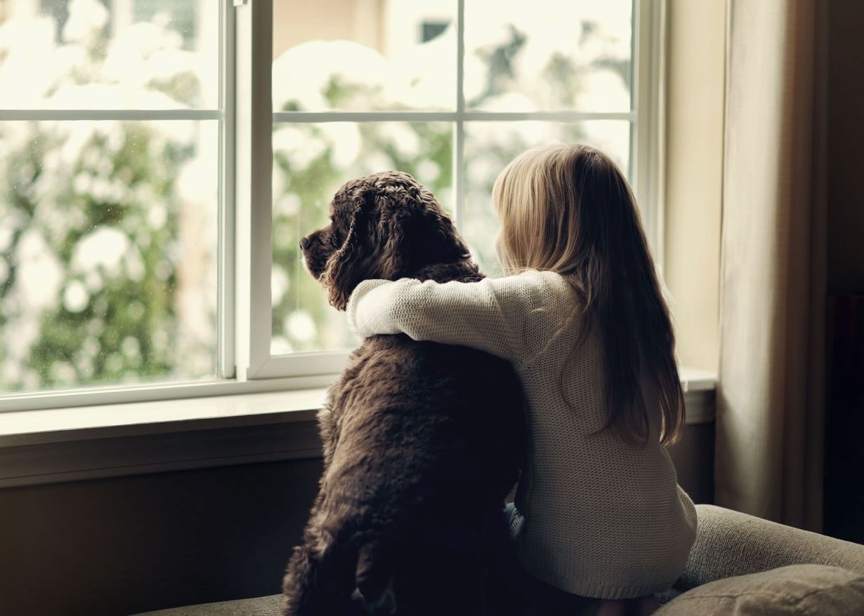Good Mojo Pet Care