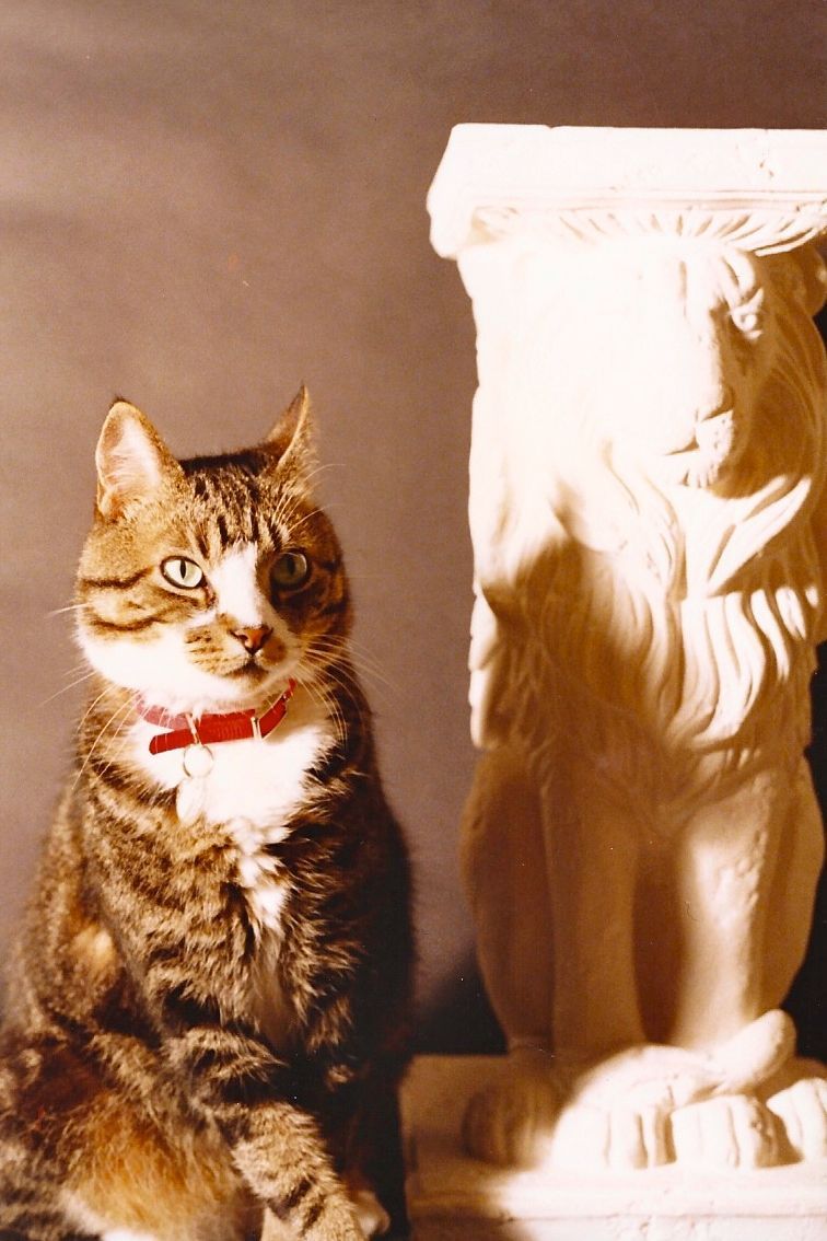 Tabby cat with red collar beside a stone lion sculpture.