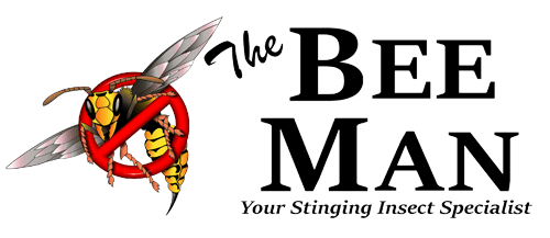 The Bee Man - Bee & Wasp Removal