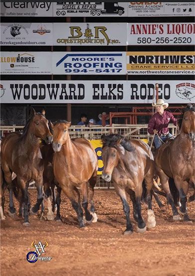 A poster for woodward elk 's rodeo shows a woman riding a horse