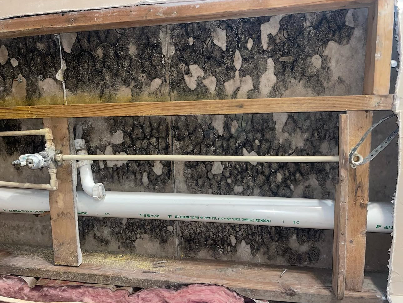Mold behind wall