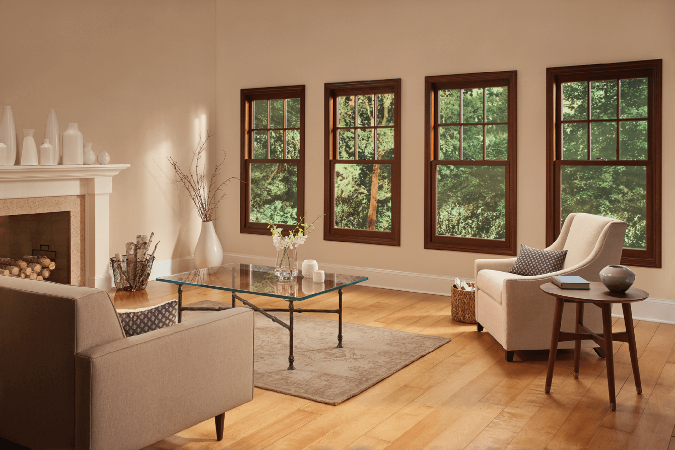 Living Room Windows