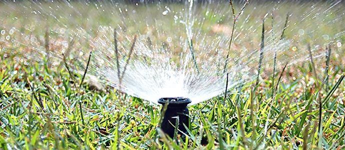 Lawn Sprinkler